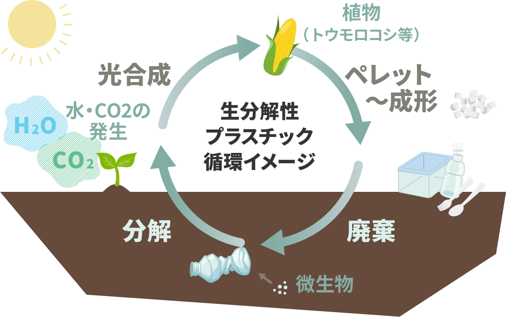 生分解性プラスチック循環イメージ